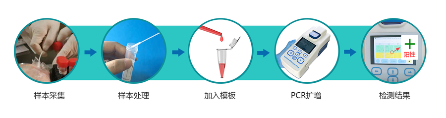 现场检测流程-001.png